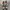 Converse Chuck Taylor All Star x AS 98 photo 3