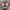 Converse Chuck Taylor All Star x AS 98 photo 1