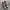 Converse Chuck Taylor All Star x AS 98 photo 2