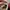 Converse Chuck Taylor All Star x AS 98 photo 8