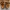 Timberland Sandals Brown Strap Rare photo 3