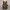 Timberland Sandals Brown Strap Rare photo 4