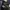Streetwear Puffer jacket Pria navy photo 3