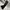 (Size 32) Promenade Carpenter Black Jeans  photo 4