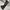 (Size 33) Flavorism Destroyed Grunge Washed Carpenter Jeans photo 6