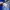 Pearl Izumi Blue Tapped Bicycle Jersey photo 5