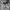 Paul Smith Casual Casual shirt Pria white green photo 4
