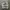 Sweatpants Grey Ballon photo 1