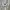 Champion ECO Grey Blank Boxy Hoodie photo 8