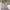 Polo Ralph Lauren Streetwear Casual Formal shirt Pria white photo 4