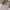 Polo Ralph Lauren Streetwear Casual Formal Shirt Pria White