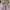 Polo Ralph Lauren Streetwear Casual Formal shirt Pria white photo 2