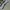 BallonJeans BlueMotifRipped yeseyesee photo 6