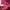 Converse Vintage Streetwear Puffer jacket Pria pink photo 8