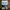 KEAJAIBAN THAILAND Analisis Deskriptif Tentang Asal-Usul Pem photo 3
