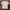 T Shirt D&G
