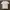 T shirt D&G photo 2