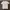 T Shirt D&G