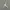 Crewneck Air Jordan Big Logo Sage green photo 5