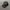 TOPI MLB HAT CAPS SNAPBACK CAMO photo 3