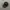 NEW ERA NYC SNAPBACK HAT CAP BLACK photo 2
