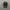 NEW ERA NYC SNAPBACK HAT CAP BLACK photo 1