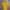 Nike Streetwear Y2K Jersey Pria Yellow