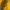 Nike Streetwear Y2K Jersey Pria yellow photo 3