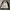 Streetwear Casual Harrington jacket Pria black photo 5