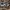 ADIDAS SUPERSTAR photo 3