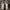 ADIDAS SUPERSTAR photo 1