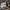 ADIDAS SUPERSTAR photo 2