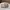 nike court blanc photo 3