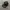 NEW ERA  HAT CAP FEDING BLACK photo 2