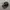 NEW ERA  HAT CAP FEDING BLACK