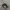 NEW ERA  HAT CAP FEDING BLACK photo 4