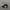 NEW ERA  HAT CAP FEDING BLACK photo 3