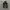 NEW ERA  HAT CAP FEDING BLACK photo 6