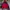 VINTAGE GAP ALPINE LT SERIES DOWN HIIL DISTRESSED  ANORAK photo 1