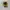 Vtg 70s Sony Walkman photo 1