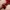 natural no treatment garnet pyrope tetes air photo 5
