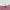 Celana Pendek Giordano Slim Bermuda Pink Original  photo 3