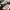 Adidas Ultraboost 19
Triple White
Sz 42 photo 1