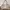 Guess Y2K Shoulder bag Wanita cream tan photo 1