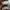 Converse Classic American Flag tenisky photo 5