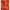 Fox Racing Casual Windbreaker Pria orange photo 7