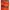 Fox Racing Casual Windbreaker Pria orange photo 6