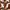 Sepatu Fred Perry Spencer Leather Sneakers White  photo 3