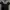 Affliction,tapout mma elite extrem couture,emo grunge,haraju photo 4
