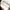 Sepatu Asics Gel Kayano 30 Women White size 38 Running Shoes photo 4